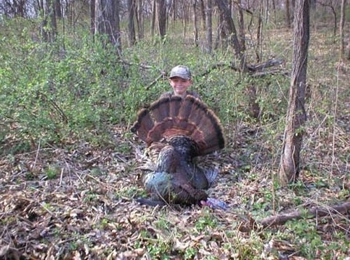 Turkey Hunts Photo